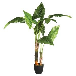 Eazy Living Kunstplant Bananenplant H124 cm