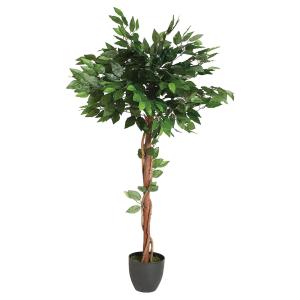 Eazy Living Kunstplant Ficus H130 cm